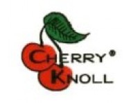 CHERY KNOL