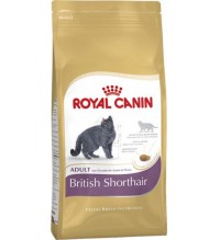 Royal Canin British Shorthair Adult