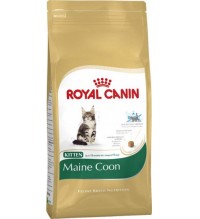 Royal Canin Kitten Maine Coon